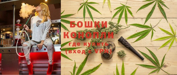 дурь Надым