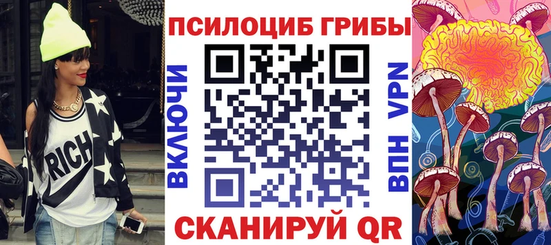 Купить Луга Псилоцибиновые грибы мицелий